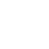 Icon-Rocket Software-Security & Compliance Solutions-White