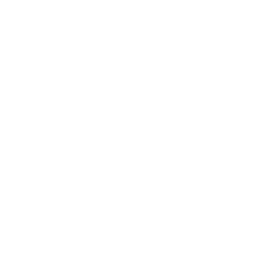 Arcserve-Cyber-Resilient-Storage-white (1)