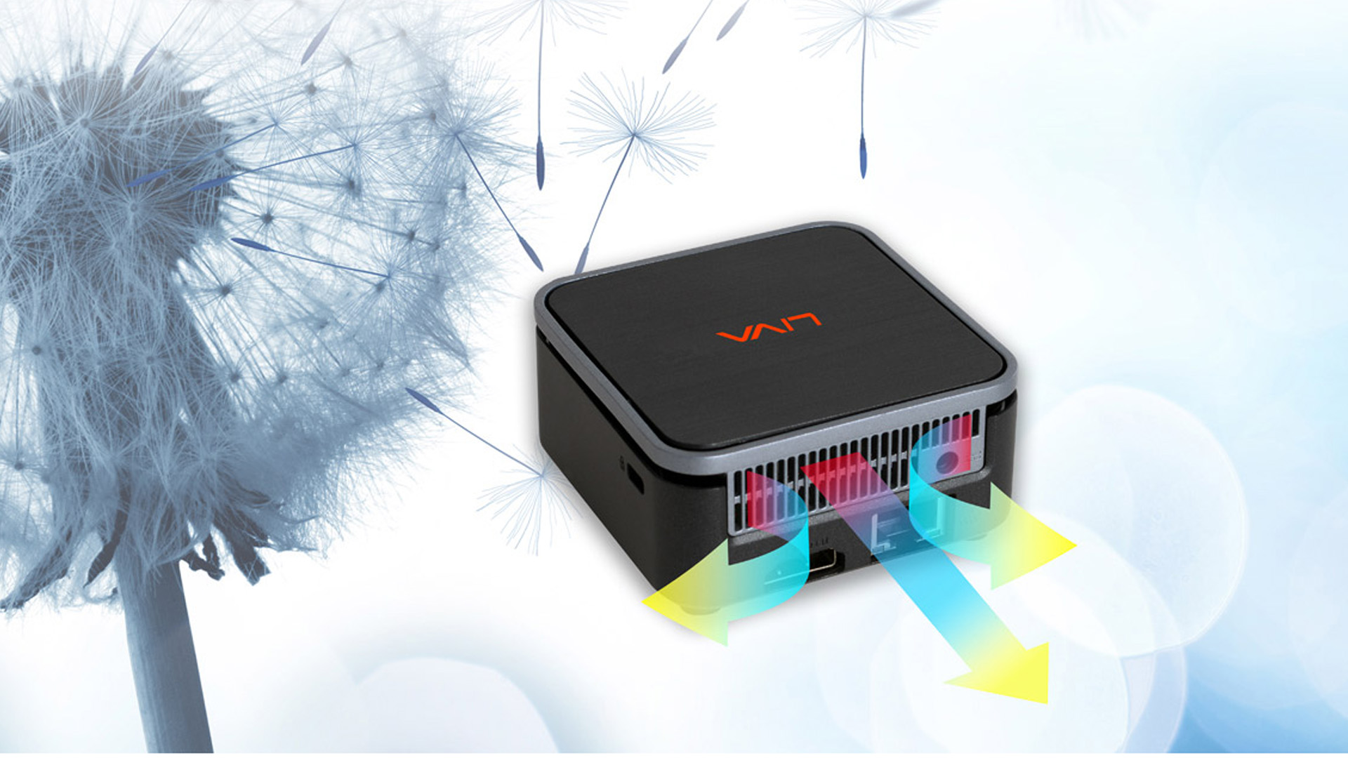 LIVA-Q2-web-2