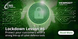 webroot cyber defence tools